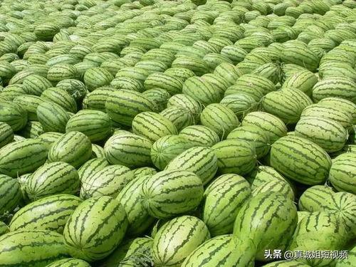 今日吃瓜热门大瓜每日更新,紧跟热门大瓜，揭秘娱乐圈最新动态